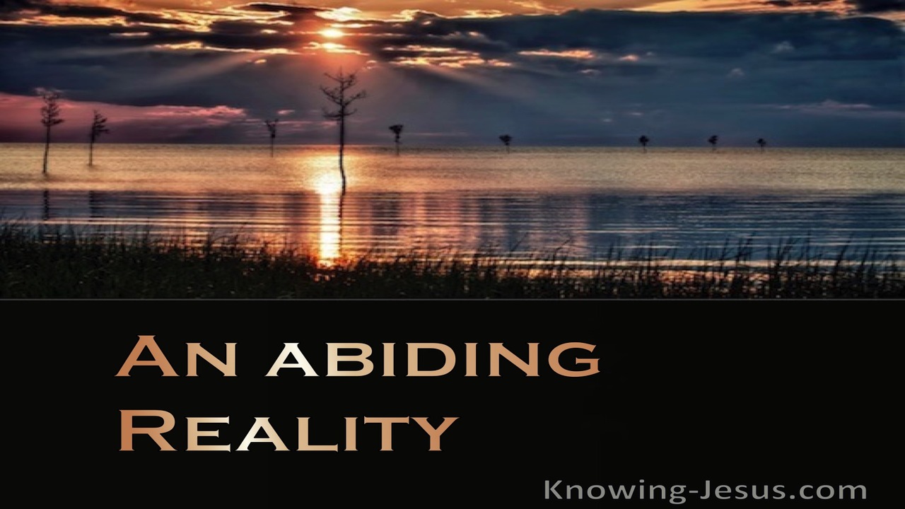 An Abiding Reality (devotional)12-28   (black)